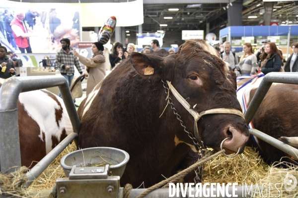 Salon de l Agriculture à Paris. Agricultural show in Paris.