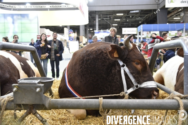 Salon de l Agriculture à Paris. Agricultural show in Paris.