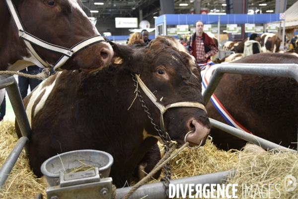 Salon de l Agriculture à Paris. Agricultural show in Paris.