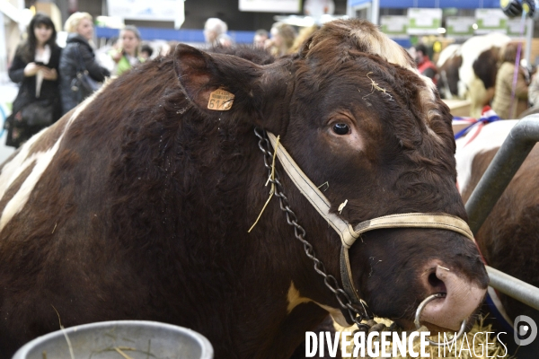 Salon de l Agriculture à Paris. Agricultural show in Paris.