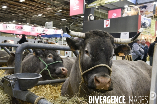 Salon de l Agriculture à Paris. Agricultural show in Paris.