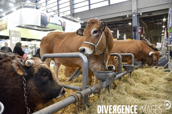 Salon de l Agriculture à Paris. Agricultural show in Paris.