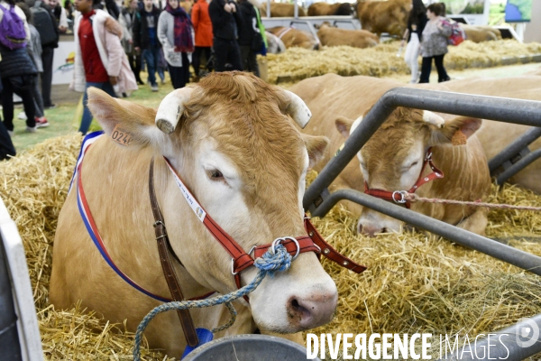 Salon de l Agriculture à Paris. Agricultural show in Paris.