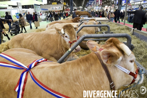 Salon de l Agriculture à Paris. Agricultural show in Paris.