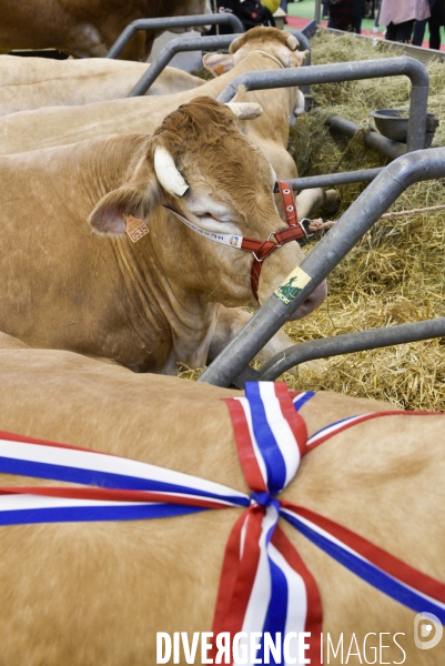 Salon de l Agriculture à Paris. Agricultural show in Paris.