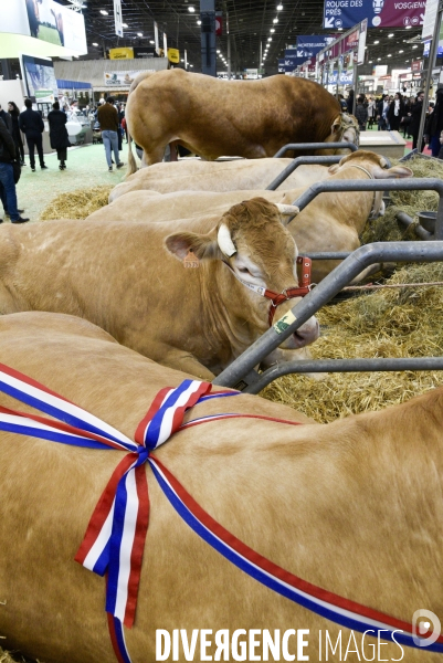 Salon de l Agriculture à Paris. Agricultural show in Paris.