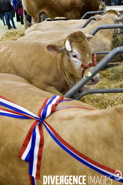 Salon de l Agriculture à Paris. Agricultural show in Paris.