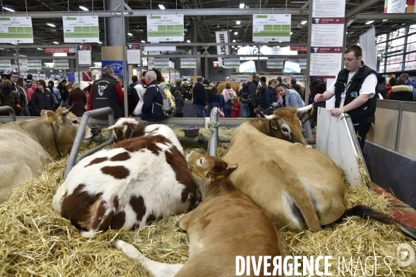 Salon de l Agriculture à Paris. Agricultural show in Paris.