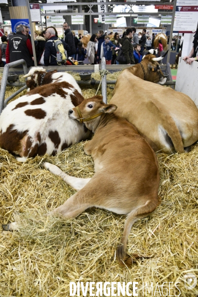 Salon de l Agriculture à Paris. Agricultural show in Paris.