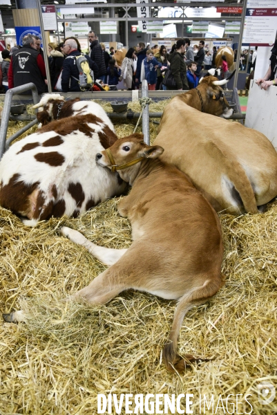 Salon de l Agriculture à Paris. Agricultural show in Paris.