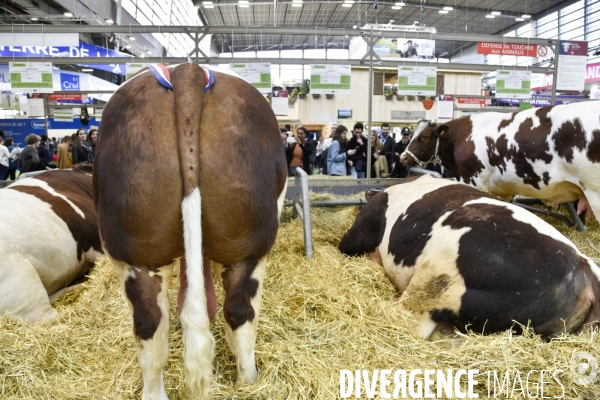 Salon de l Agriculture à Paris. Agricultural show in Paris.