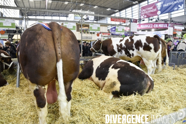 Salon de l Agriculture à Paris. Agricultural show in Paris.