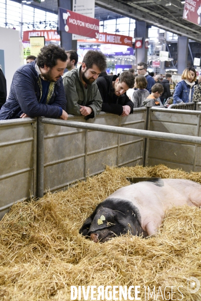 Salon de l Agriculture à Paris. Agricultural show in Paris.