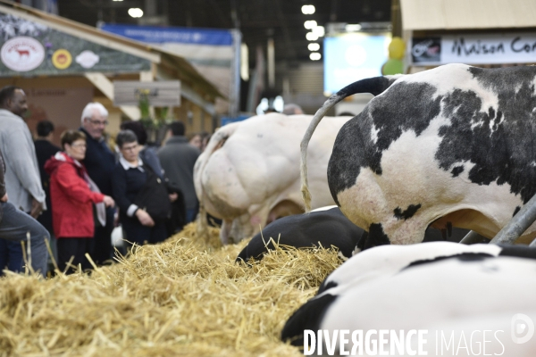 Salon de l Agriculture à Paris. Agricultural show in Paris.