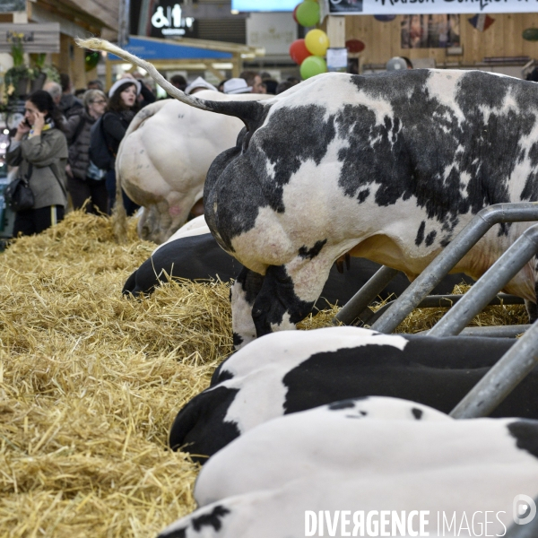 Salon de l Agriculture à Paris. Agricultural show in Paris.