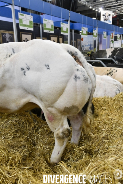 Salon de l Agriculture à Paris. Agricultural show in Paris.