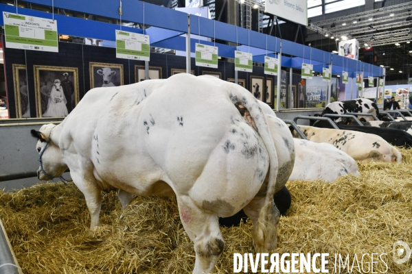 Salon de l Agriculture à Paris. Agricultural show in Paris.