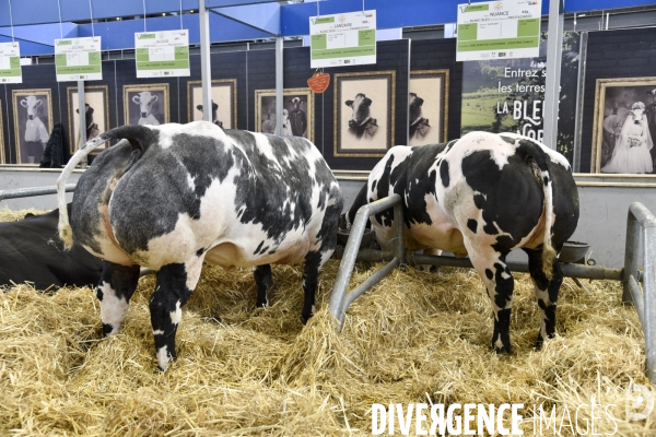 Salon de l Agriculture à Paris. Agricultural show in Paris.