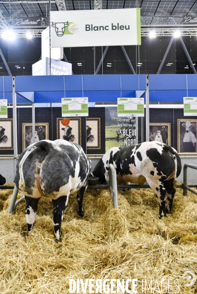 Salon de l Agriculture à Paris. Agricultural show in Paris.
