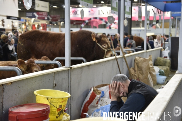 Eleveurs au Salon de l agriculture