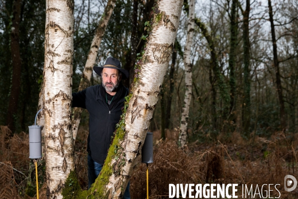 Récolte de sève de bouleau dans la Sarthe