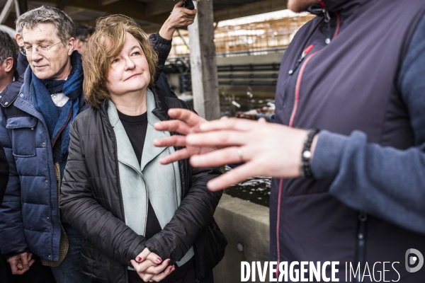 Déplacement de Nathalie Loiseau dans la Manche.