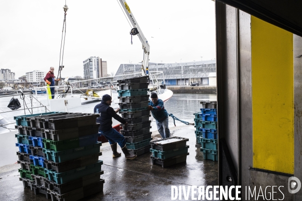 Déplacement de Nathalie Loiseau dans la Manche.