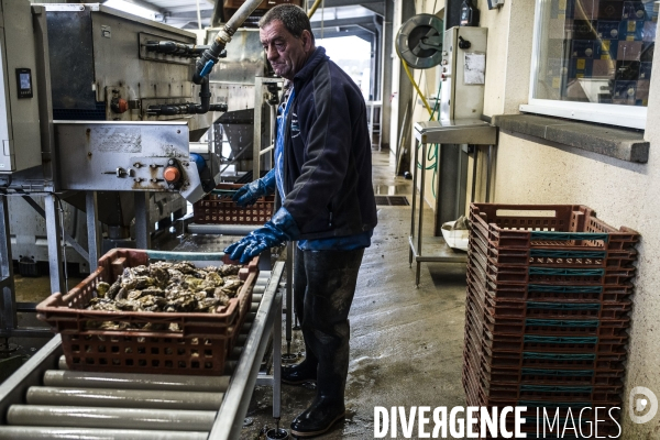 Déplacement de Nathalie Loiseau dans la Manche.
