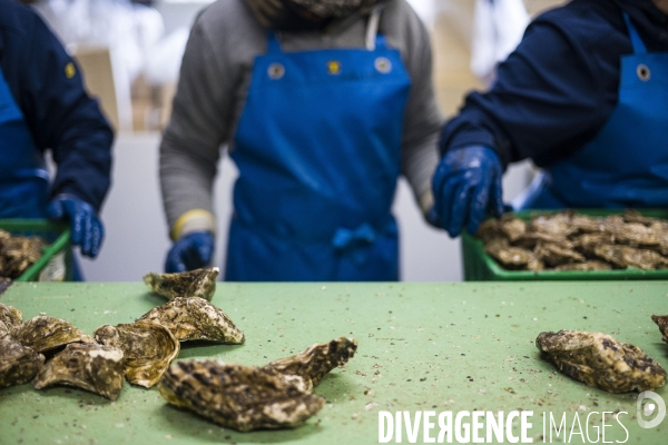 Déplacement de Nathalie Loiseau dans la Manche.