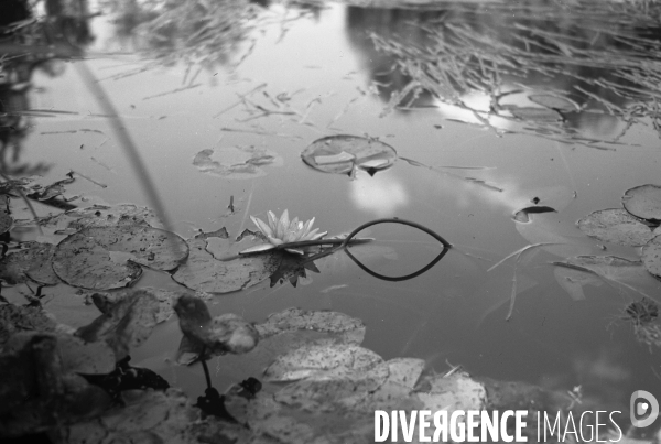 Jardins de Claude Monet à Giverny