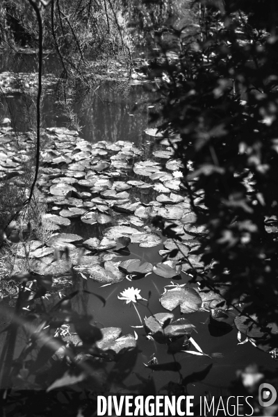 Jardins de Claude Monet à Giverny