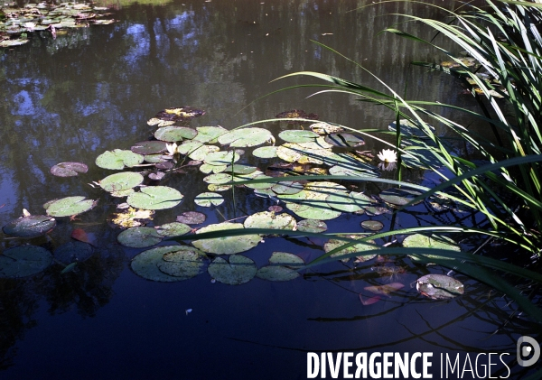 Jardins de Claude Monet à Giverny