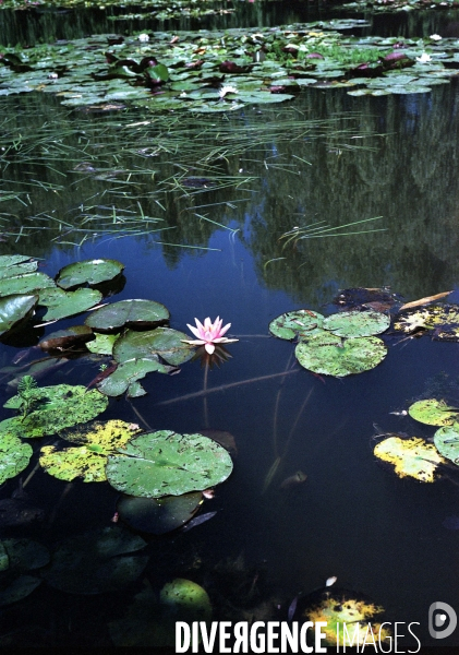 Jardins de Claude Monet à Giverny