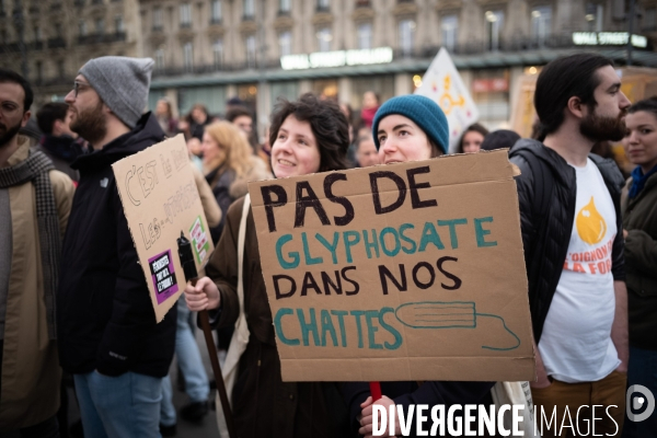 Journée internationale des droits des femmes