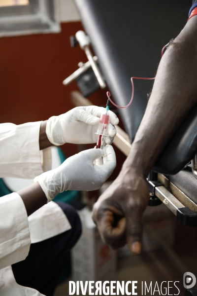 Repatriés en Guinée pour combattre EBOLA