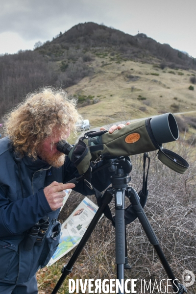 Le comptage des oiseaux migrateurs par la LPO