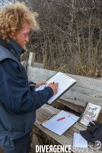 Le comptage des oiseaux migrateurs par la LPO