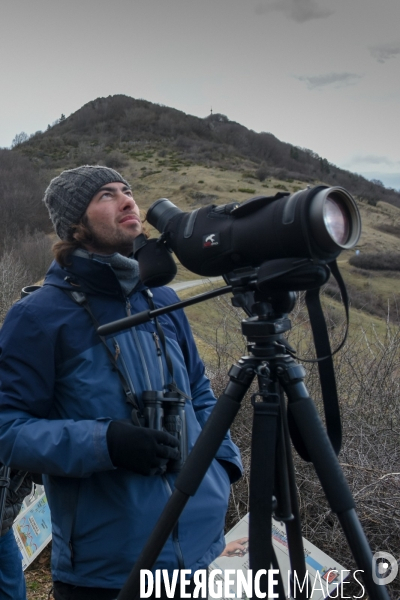 Le comptage des oiseaux migrateurs par la LPO