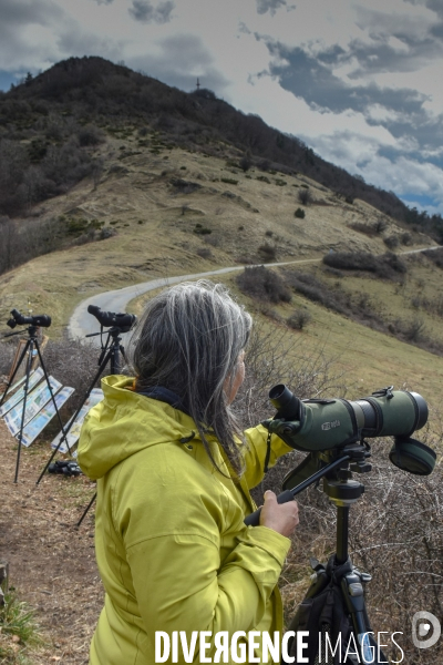 Le comptage des oiseaux migrateurs par la LPO