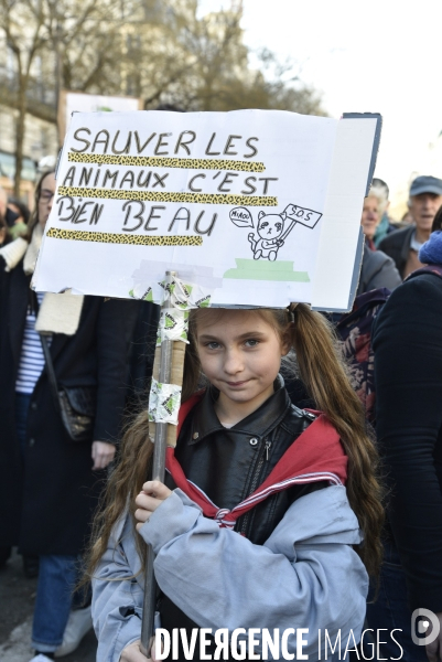 Marche du siècle pour le climat, étudiants, scolaires, enfants. March of century for climate, with youth.