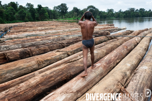 Huile de palme : entre développement économique et déforestation