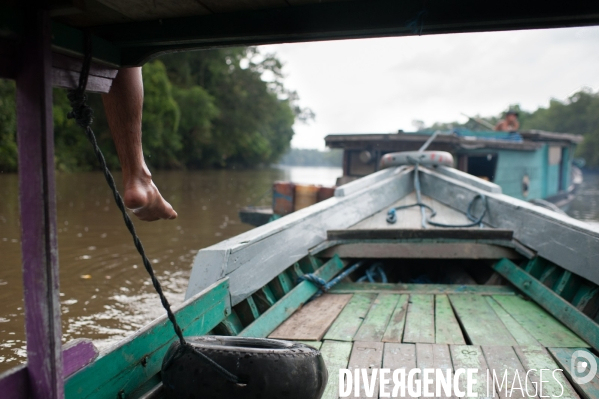 Huile de palme : entre développement économique et déforestation