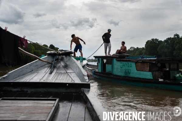 Huile de palme : entre développement économique et déforestation