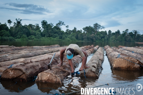 Huile de palme : entre développement économique et déforestation