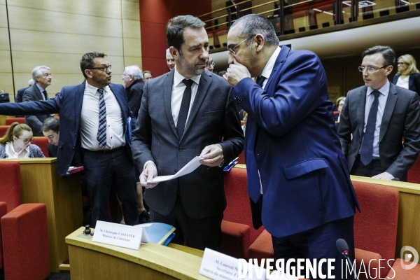 Audition de Christophe Castaner, Laurent Nunez et le Maire au Sénat