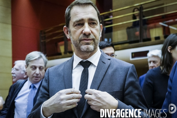 Audition de Christophe Castaner, Laurent Nunez et le Maire au Sénat