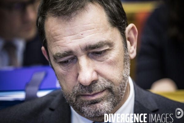 Audition de Christophe Castaner, Laurent Nunez et le Maire au Sénat