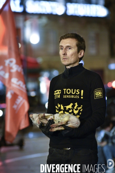 Cause animale : Journée internationale sans viande. Action L214   l élevage tue  . Animals rights.