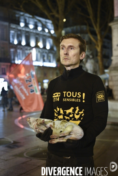 Cause animale : Journée internationale sans viande. Action L214   l élevage tue  . Animals rights.