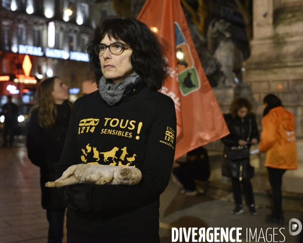 Cause animale : Journée internationale sans viande. Action L214   l élevage tue  . Animals rights.